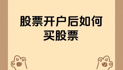 改证券密码(修改证券登录密码)