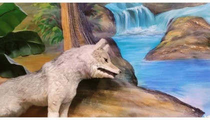 中东再不团结就晚了！伊朗官方释放信号，厉声喝止周边国家！