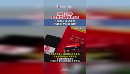 东方证券ipo(东方证券ipad版)