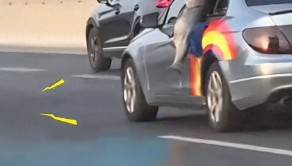男子钓40斤大鱼挂车窗炫耀，第二天被叫到交警队，交警：在车身外部悬挂物品属于交通违法行为