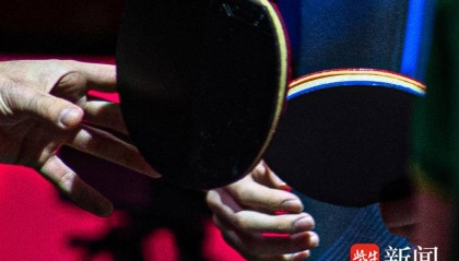 王楚钦是最后一名受害者？中国乒协提案：用硬质透明收纳盒装球拍