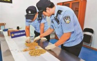 一群“蚂蚁”搬了130公斤黄金！深圳破获特大黄金走私案，案值7800万元