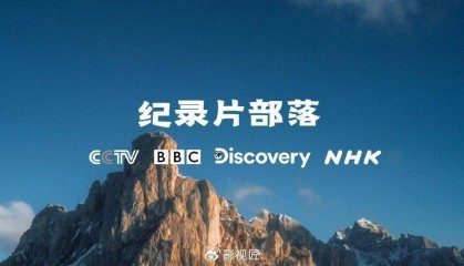 纪录片《世界杯官方纪录片1950-2010》全20集4K+1080P免费下载