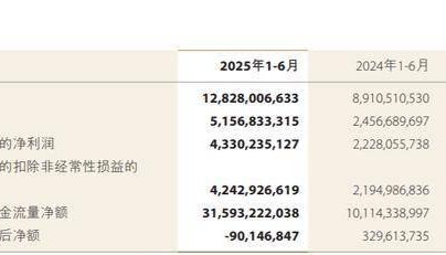 中金公司上半年净利大增94%，聘任王曙光为总裁、清华毕业当年进入投行部