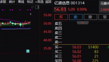 400%涨幅背后的资金密码