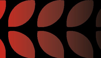 山东省2025年度中级注册安全工程师职业资格考试报名时间已确定！7月23日开始报名