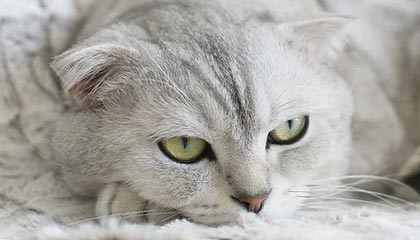 龙虎榜|大龙地产跌停,华泰证券广州海珠广场净买入899.87万元