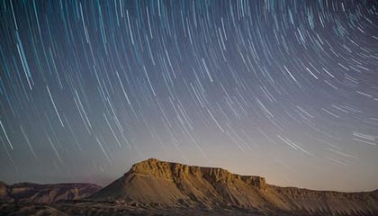 龙虎榜|洪兴股份涨停,国泰海通证券广州东风中路净买入683.10万元