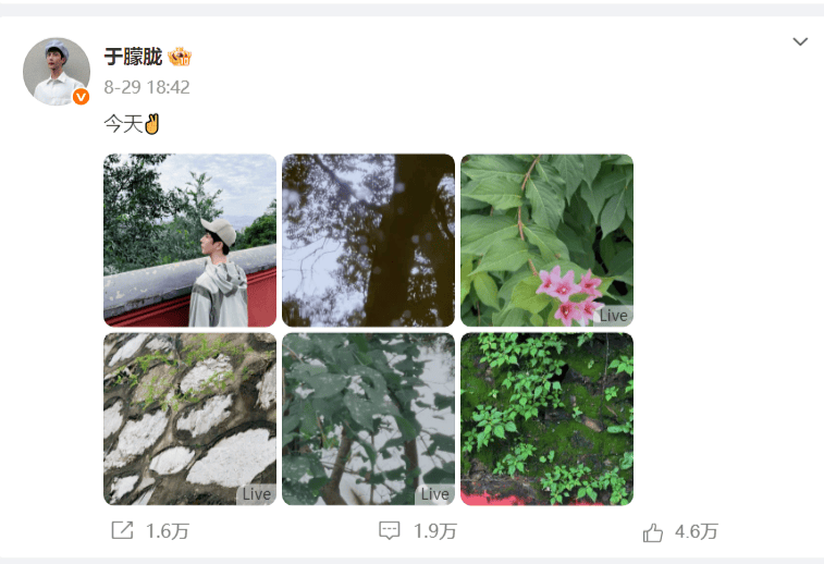 考古|于朦胧因坠楼身亡!选秀出道被赞是古装男神,他才37岁怎会这样