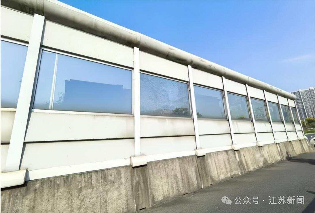 南京一大桥玻璃墙频现撞鸟事件 市民希望能贴上鸟类防撞贴纸