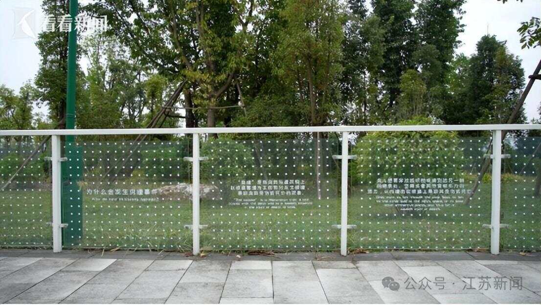 南京一大桥玻璃墙频现撞鸟事件 市民希望能贴上鸟类防撞贴纸