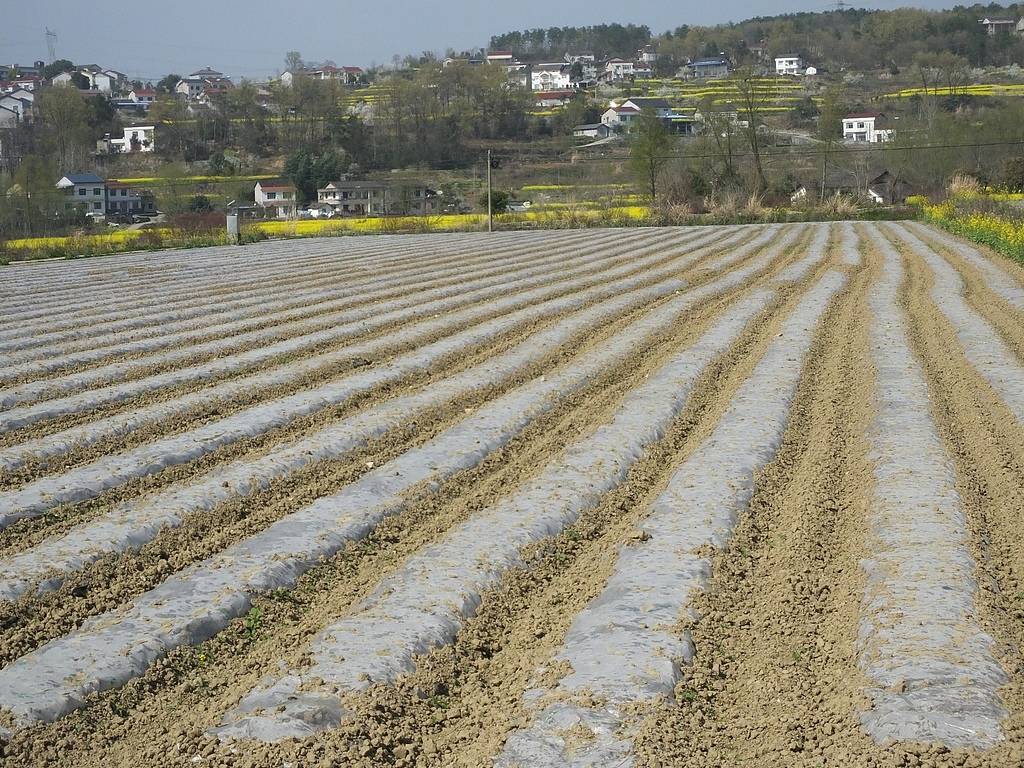 公职人员占他人耕地屡次修坟，得管管乡村恶霸