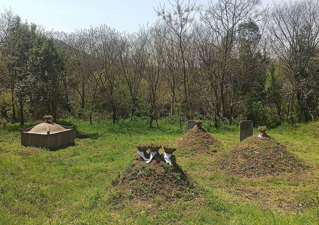 公职人员占他人耕地屡次修坟，得管管乡村恶霸