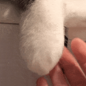 即将开始报名！全国勘察设计注册工程师执业资格考试来了→