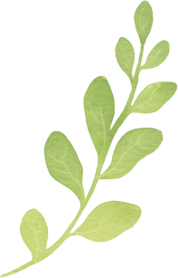 【乌丹第五小学·开学第一课】新程启 少年行