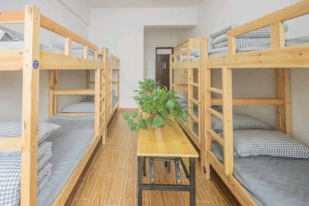 官网——长沙中大教育单招培训学校