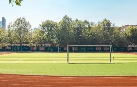 重庆成人教育官网：助力成人提升自我的优质平台