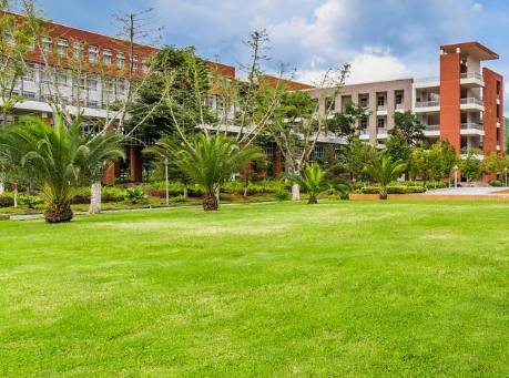 重庆高等教育自考官网:助力学子成长的知识殿堂