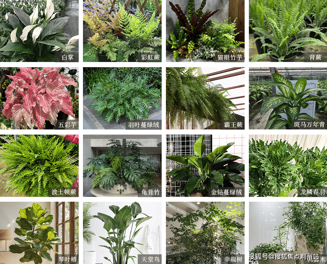 沈阳华润 · 中寰悦府售楼处电话→沈阳中寰悦府24小时电话→沈阳中寰悦府2025最新房价→沈阳中寰悦府楼盘百科详情