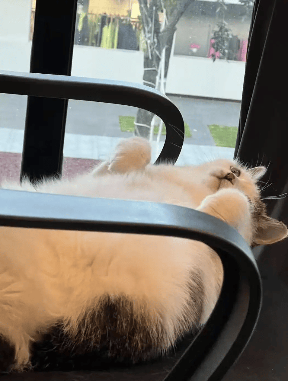 你也喜欢看书吗｜图书营销编辑实习生招聘