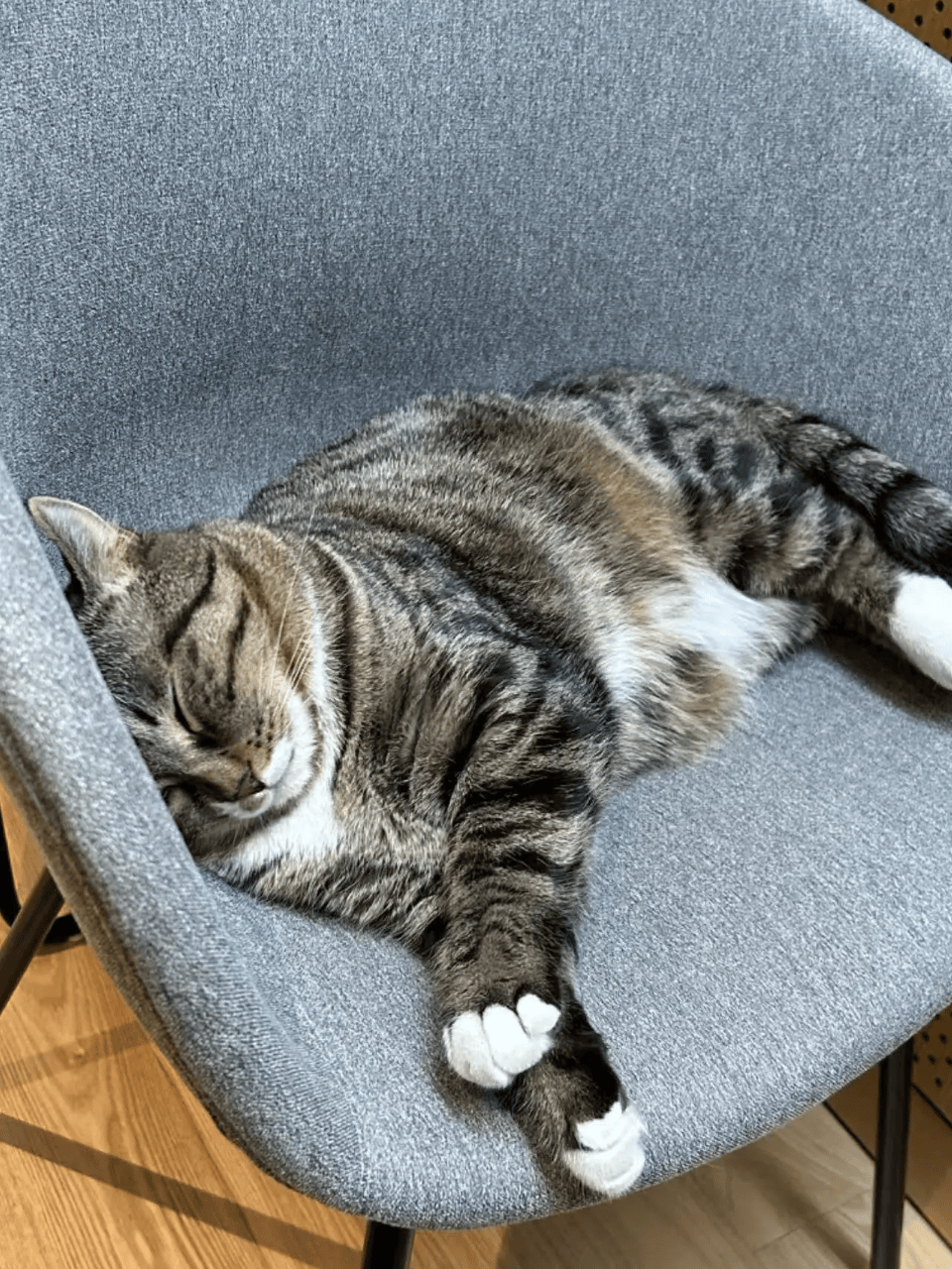 你也喜欢看书吗｜图书营销编辑实习生招聘