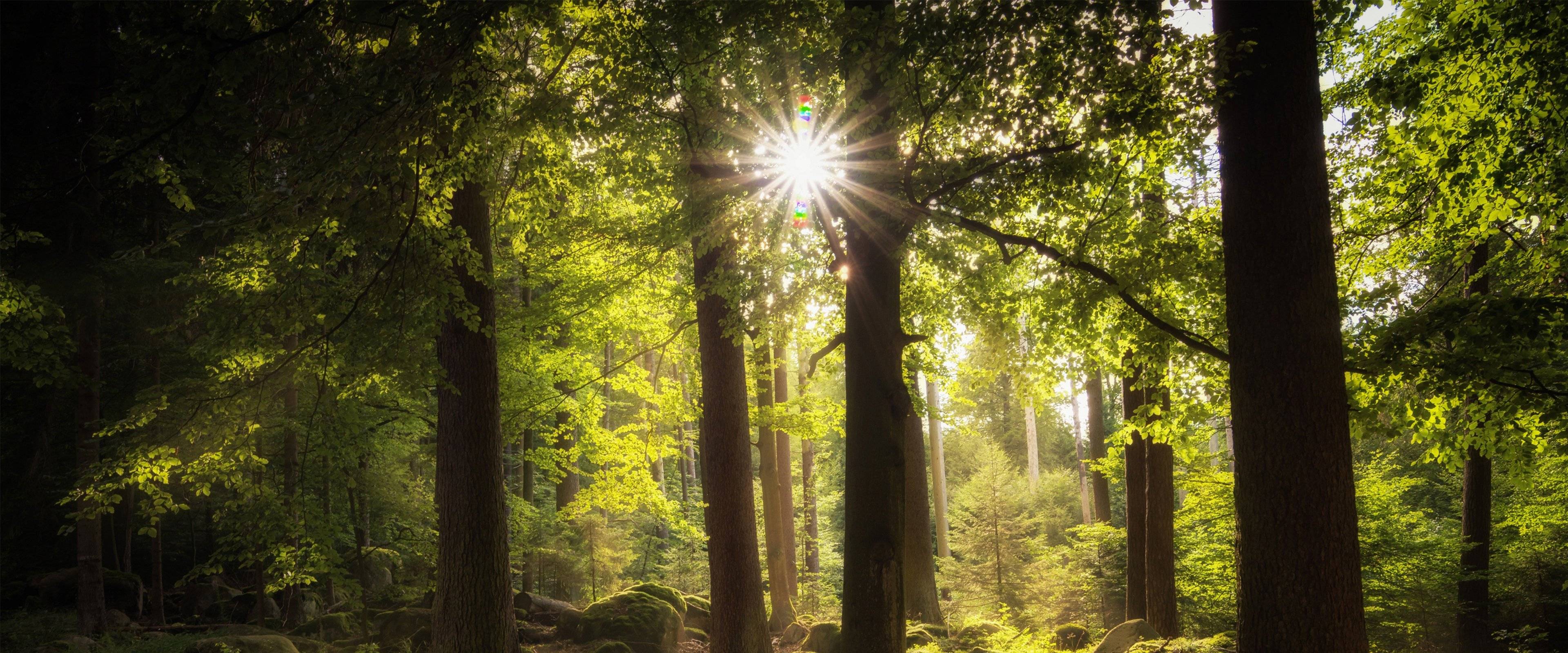五行属性查询工具,五行属性怎么查