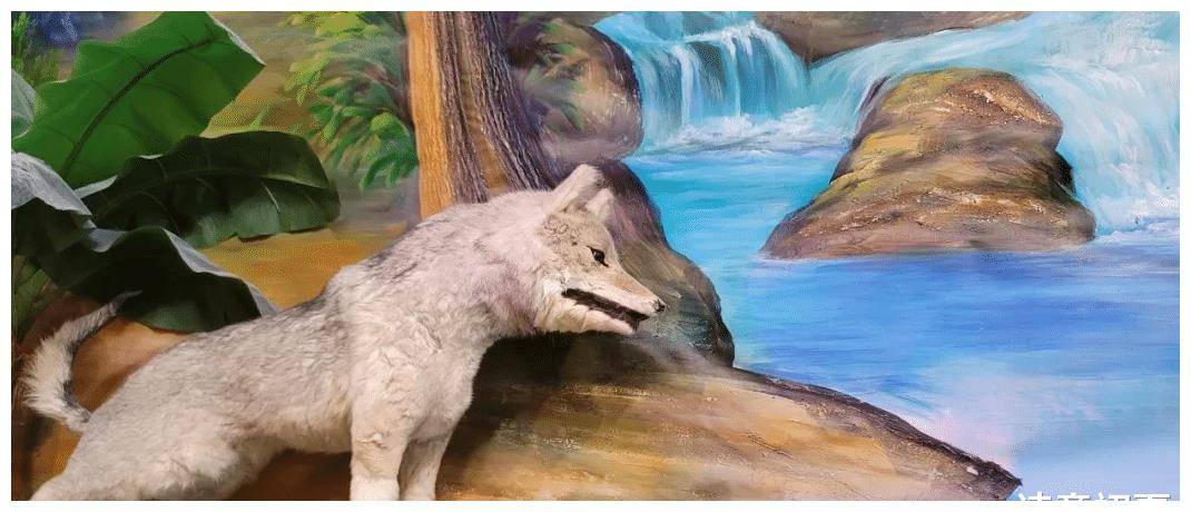 中东再不团结就晚了！伊朗官方释放信号，厉声喝止周边国家！