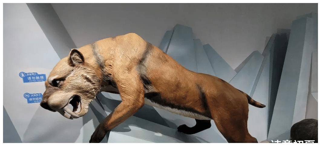 中东再不团结就晚了！伊朗官方释放信号，厉声喝止周边国家！