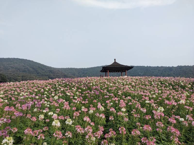 「官方认证！」无锡周边游TOP7口碑榜单，数据说话！小众玩家专属