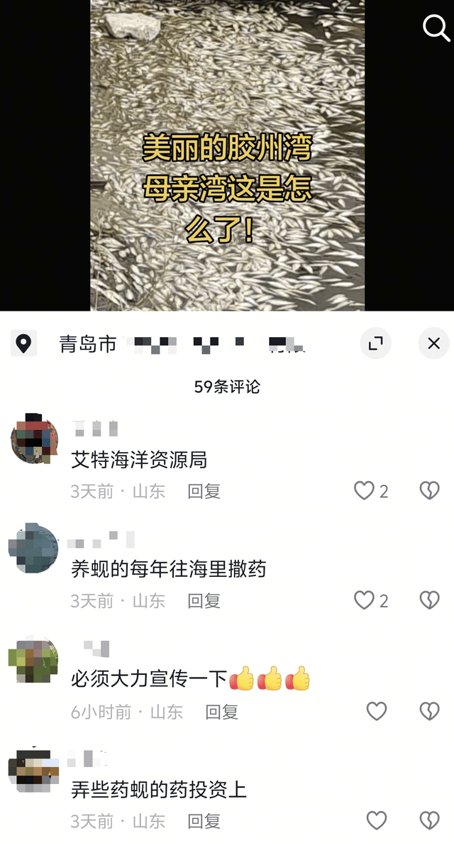 青岛胶州湾岸边现大量死鱼，市民怀疑为蚬蛏养殖户投药所致；当地回应：已收到反映并介入调查